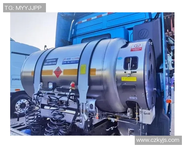 专业解析LNG市场控制策略与应对措施的深度剖析 专业解析LNG市场控制策略与应对措施的深度剖析