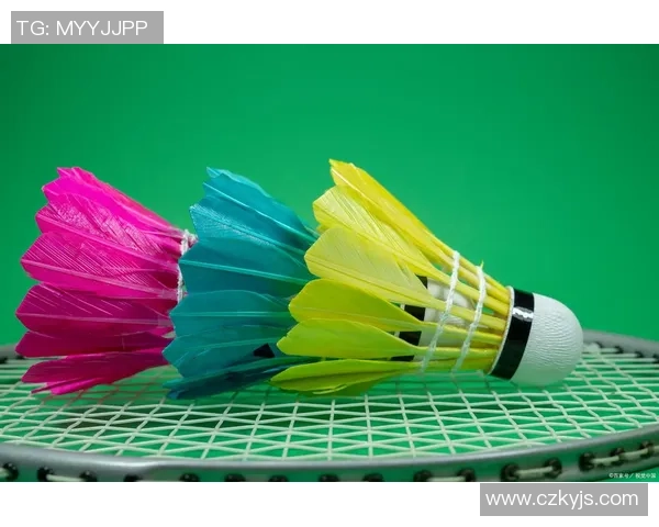 周伟独家分享羽毛球技巧与心得助你提升竞技水平与乐趣