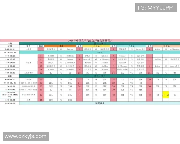 飞盘比赛经验排行榜揭晓杭州飞盘队荣获第九名成就引关注